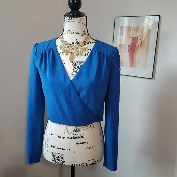 LONG Blue SLEEVES BLOUSE.. - Picture 1 of 16